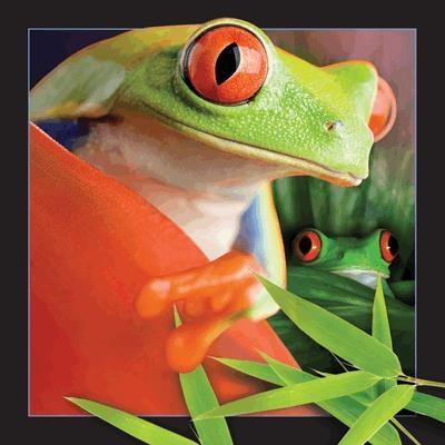 Opakowanie Pocztówka 3D Żaba