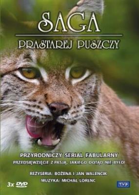 Saga prastarej puszczy. Autor: Bożena Walencik, Jan Walencik. SmakLiter.pl Okładka książki Saga prastarej puszczy