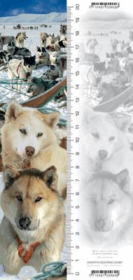 Opakowanie Zakładka 3D Husky