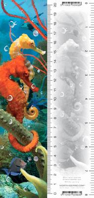 Opakowanie Zakładka 3D Konik Morski