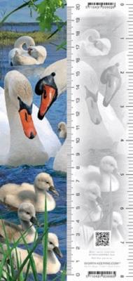 Opakowanie Zakładka 3D Łabędź