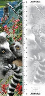 Opakowanie Zakładka 3D Lemur