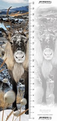 Opakowanie Zakładka 3D Renifer