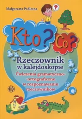 Okładka książki Kto? Co? Rzeczownik w kalejdoskopie
