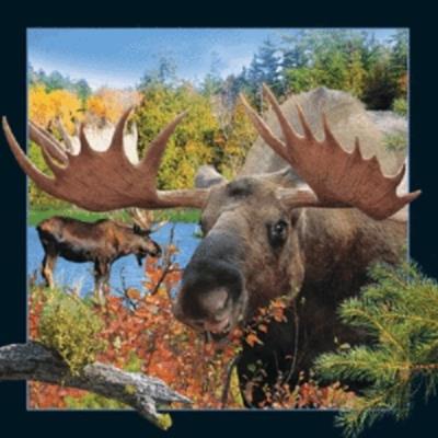 Opakowanie Magnes 3D Łoś, poroże