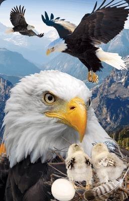 Opakowanie Mini kartka 3D Orzeł Bielik