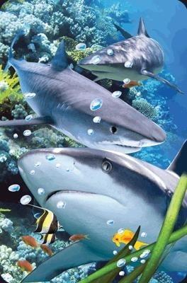 Opakowanie Mini kartka 3D Rekin