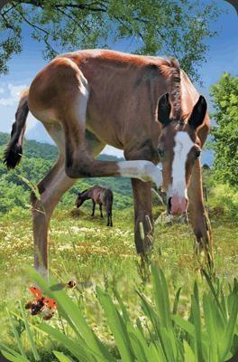 Opakowanie Mini kartka 3D Źrebię