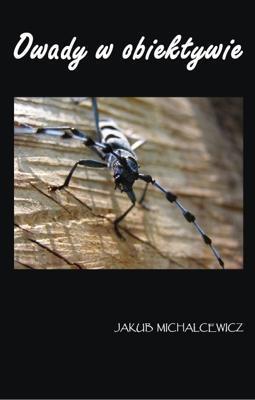 Owady w obiektywie TW. Autor: Jakub Michalcewicz. SmakLiter.pl Okładka książki Owady w obiektywie TW