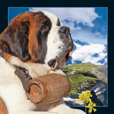 Opakowanie Pocztówka 3D Bernardyn