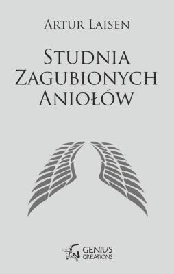 Okładka książki Studnia Zagubionych Aniołów