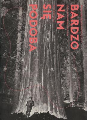 Bardzo nam się podoba. Autor:   Praca zbiorowa. SmakLiter.pl Okładka książki Bardzo nam się podoba