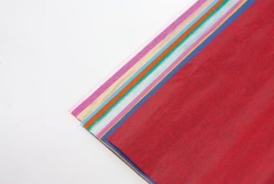 Opakowanie Bibuła gładka 12 kolorów (5szt) FIORELLO