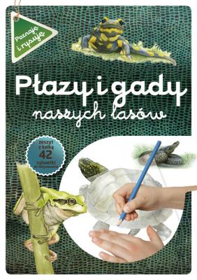 Płazy i gady naszych lasów. Autor: Maternicka Grażyna, Katarzyna Kopiec-Sekieta. SmakLiter.pl Okładka książki Płazy i gady naszych lasów