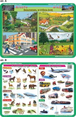 Podkładka edukacyjna  Miasto i wieś, te co biegają, pływają,. Autor: inne. SmakLiter.pl Okładka książki Podkładka edukacyjna  Miasto i wieś, te co biegają, pływają,