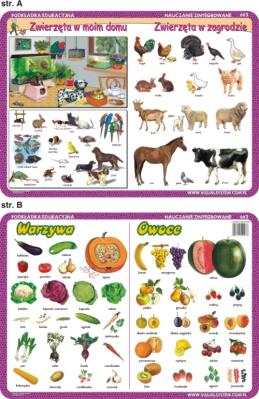 Podkładka edukacyjna  Warzywa, owoce, zwierzęta w moim domu. Autor: inne. SmakLiter.pl Okładka książki Podkładka edukacyjna  Warzywa, owoce, zwierzęta w moim domu