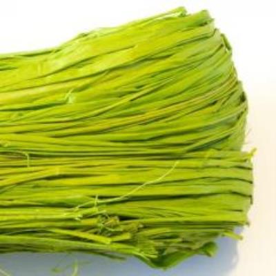 Opakowanie Rafia naturalna 50g jasnozielona MAILDOR