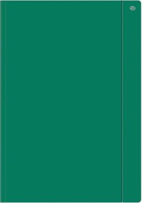 Opakowanie Teczka z gumką A4+ jednokolorowa zielona (10szt)