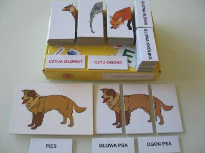 Okładka książki Zestaw dydaktyczny. Czyja głowa? Czyj ogon?