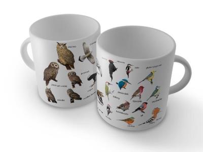 Okładka książki Kubek ptaki polski 1