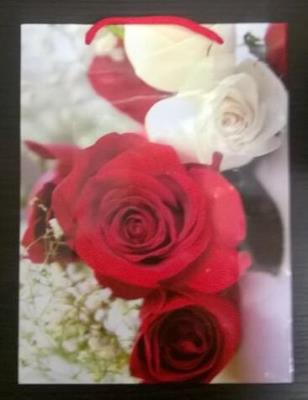 Opakowanie Torba prezentowa TCR-1 Mała MIX AVANTI