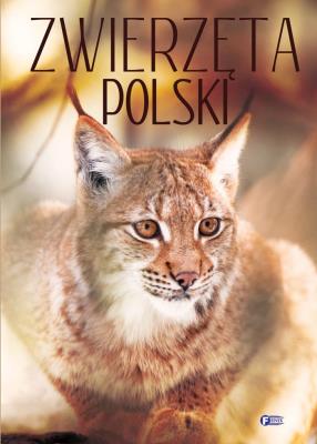 Zwierzęta Polski. Autor: Opracowanie zbiorowe. SmakLiter.pl Okładka książki Zwierzęta Polski