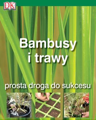 Okładka książki Bambusy i trawy. Prosta droga do sukcesu