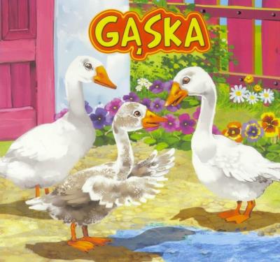 Gąska JAFI. Autor: Katarzyna Campbell. SmakLiter.pl Okładka książki Gąska JAFI