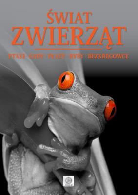 Świat zwierząt Ptaki gady płazy. Autor: Iwona Baturo. SmakLiter.pl Okładka książki Świat zwierząt Ptaki gady płazy