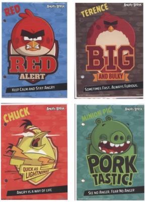 Opakowanie Wkłady do segregatora A6 Angry Birds 10 sztuk mix