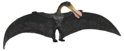 Opakowanie Dinozaur Ornithocheirus L