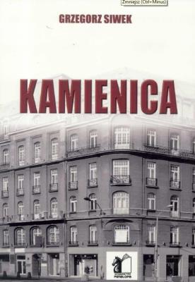 Kaminica. Autor: Siwek Grzegorz. SmakLiter.pl Okładka książki Kaminica
