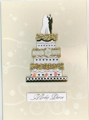 Opakowanie Karnet ślubny B6 Premium 5 (5szt)