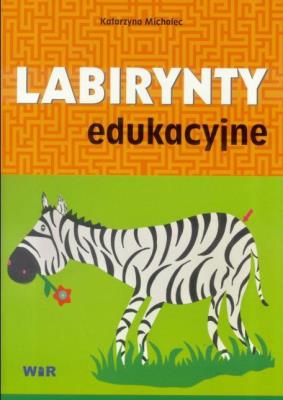 Okładka książki Labirynty edukacyjne