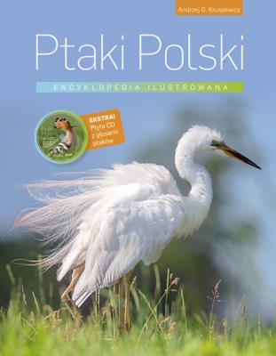 Ptaki Polski Encyklopedia ilustrowana. Autor: Kruszewicz Andrzej G.. SmakLiter.pl Okładka książki Ptaki Polski Encyklopedia ilustrowana