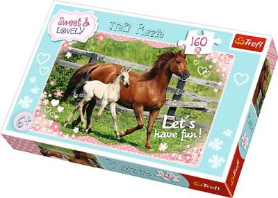 Opakowanie Puzzle 160 Popołudniowy spacer TREFL