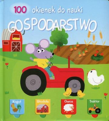 100 okienek gospodarstwo. Autor: praca zbiorowa. SmakLiter.pl Okładka książki 100 okienek gospodarstwo