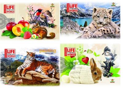 Opakowanie Album do rysowania A5/20K FRESH