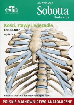 Anatomia Sobotta Flashcards Kości stawy i więzadła. Autor: Lars Brauer. SmakLiter.pl Okładka książki Anatomia Sobotta Flashcards Kości stawy i więzadła