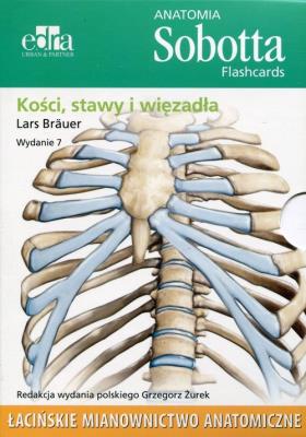 Anatomia Sobotta Flashcards Kości stawy i więzadła. Autor: Lars Brauer. SmakLiter.pl Okładka książki Anatomia Sobotta Flashcards Kości stawy i więzadła