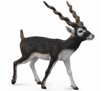 Opakowanie Antylopa Blackbuck L