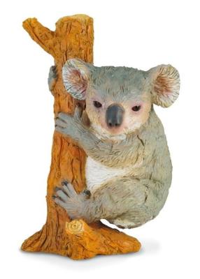 Okładka książki COLLECTA MIS KOALA WSPINAJACY SIE ROZMIAR M BPZ-COLLECTA