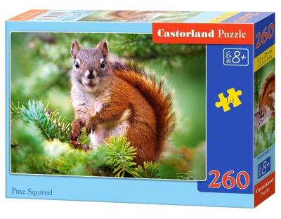 Opakowanie Puzzle 260 Pine Squirrel