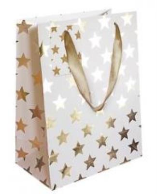 Opakowanie Torebka prezentowa 18x23 CHRISTMAS JOY