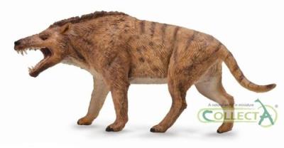 Opakowanie Andrewsarchus