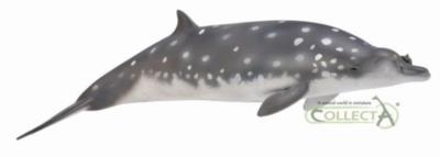 Opakowanie Dziobowal zwartopyski L