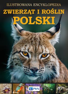 Ilustrowana Encyklopedia Zwierząt I Roślin Polski. Autor: Opracowanie zbiorowe. SmakLiter.pl Okładka książki Ilustrowana Encyklopedia Zwierząt I Roślin Polski