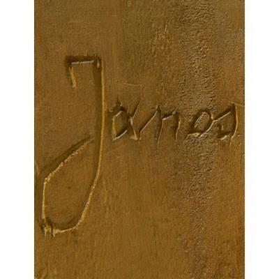 Janos Józef z Dymbna. Autor: Zalot Beata, Joanna Daranowska-Łukaszewska, Kubiena Jacek. SmakLiter.pl Okładka książki Janos Józef z Dymbna