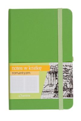 Opakowanie Notatniki (notesy) Antra ROMANTYZM A6 krata