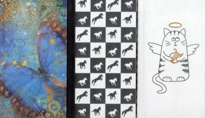 Notes 11N Soft MIX Lucrum. Wydawca: Lucrum. SmakLiter.pl Opakowanie Notes 11N Soft MIX Lucrum